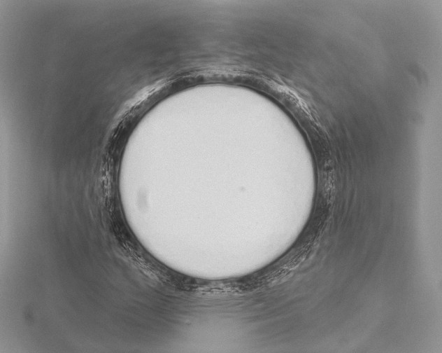 X0000115711159200912101231