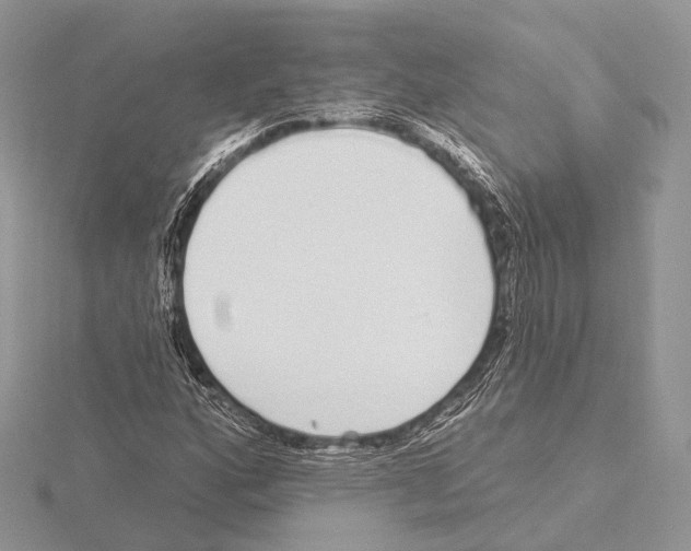 X0000115711160200912101231