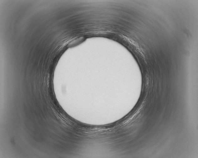 X0000115711161200912101231