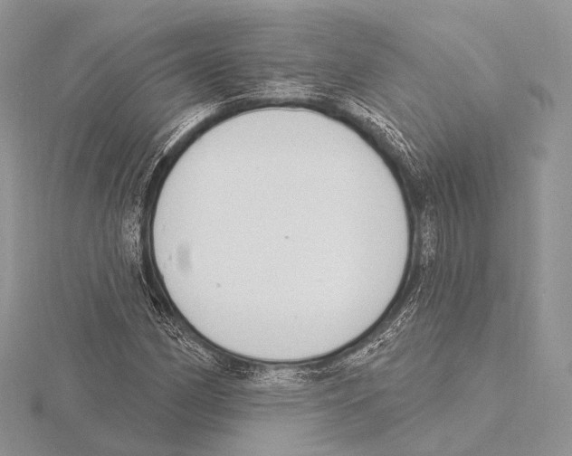 X0000115711162200912101231