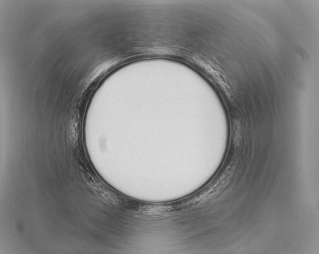 X0000115711163200912101231