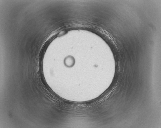 X0000115711165200912101231