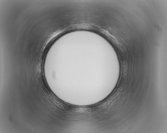 X0000115711166200912101231