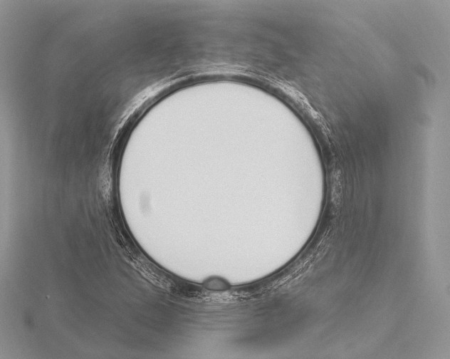 X0000115711167200912101231