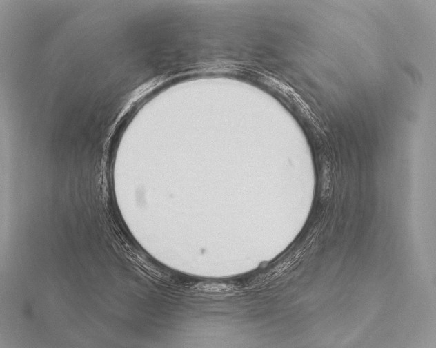 X0000115711168200912101231