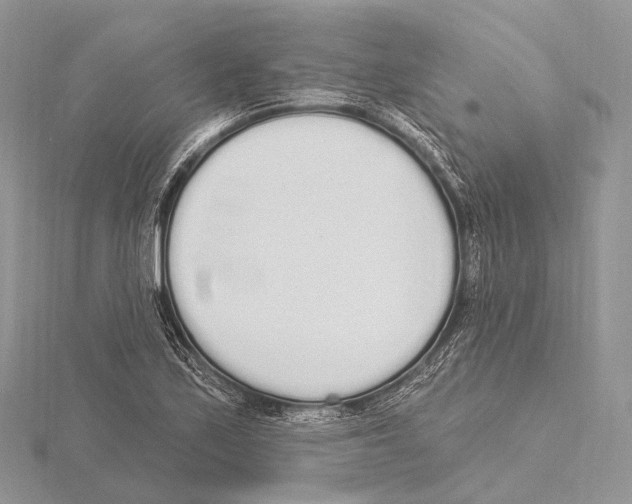 X0000115711171200912101230