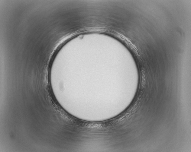 X0000115711174200912101230