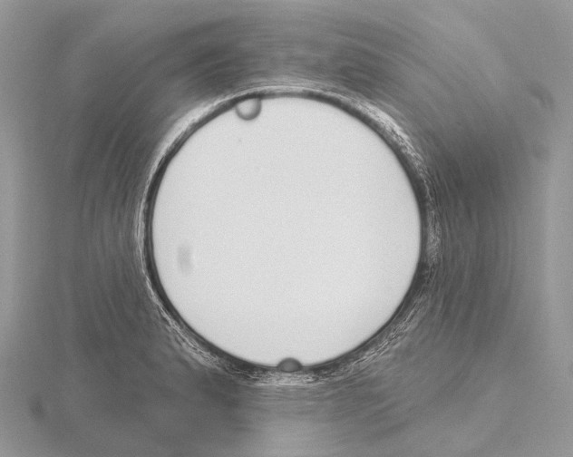 X0000115711183200912101230