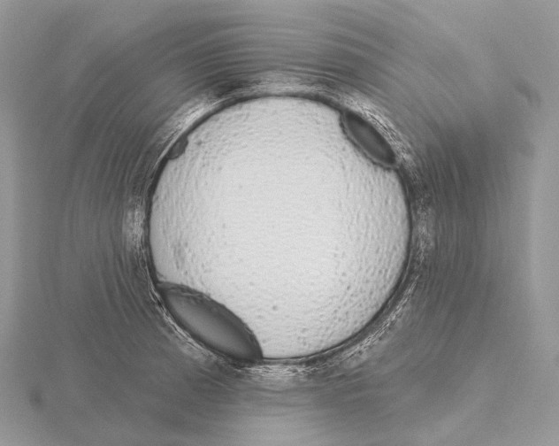 X0000115711185200912101230