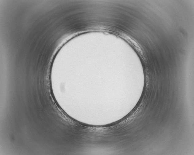 X0000115711192200912101230