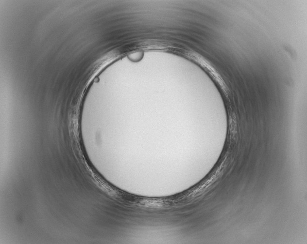 X0000115711194200912101230