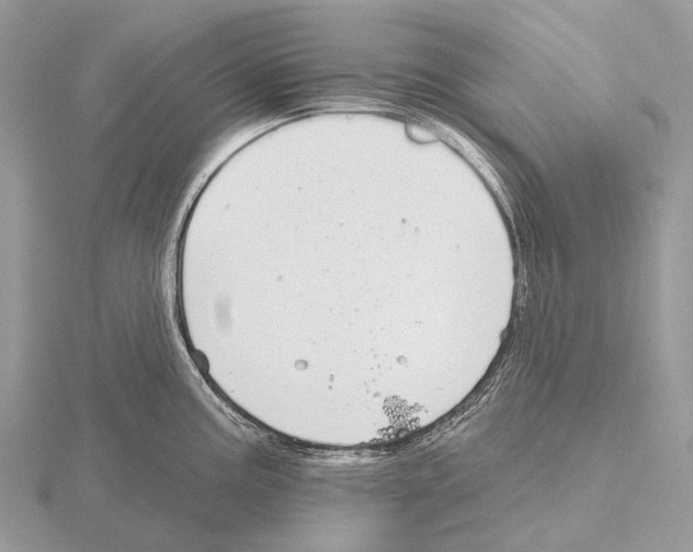 X0000115711195200912101230