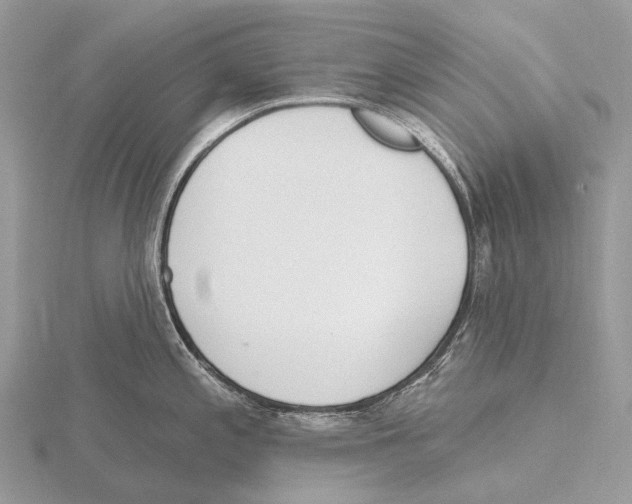 X0000115711197200912101230