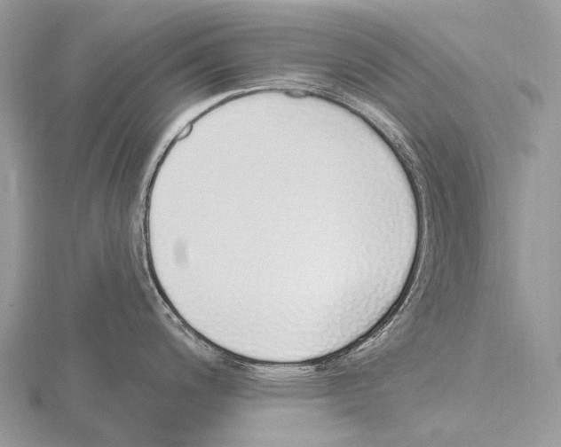 X0000115711200200912101230