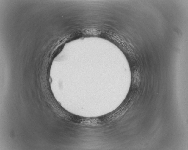 X0000115711201200912101229