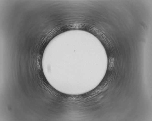 X0000115711202200912101229