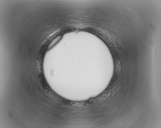 X0000115711205200912101229