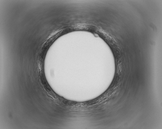 X0000115711206200912101229