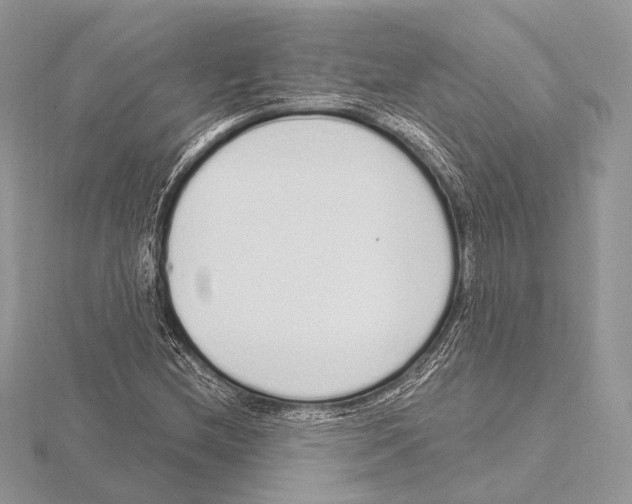 X0000115711212200912101230