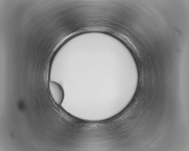 X0000115711228200912101230