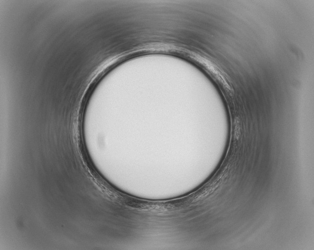 X0000115711229200912101230