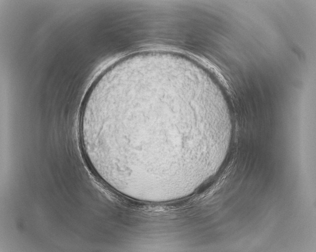 X0000115711231200912101230