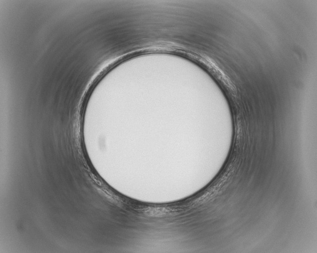 X0000115711232200912101230