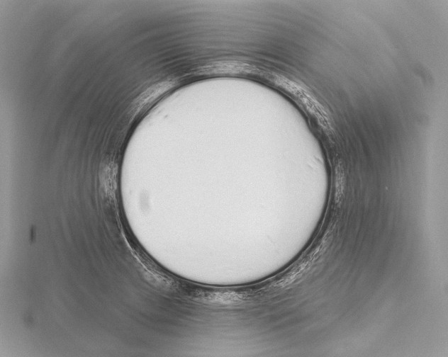 X0000115711233200912101230