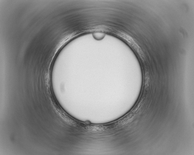 X0000115711234200912101230