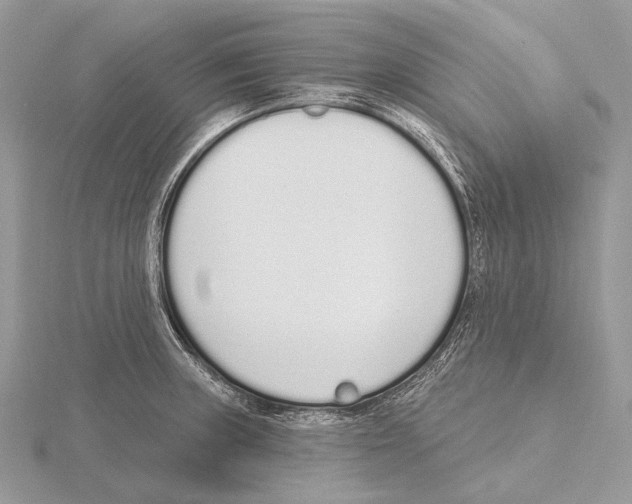 X0000115711235200912101230