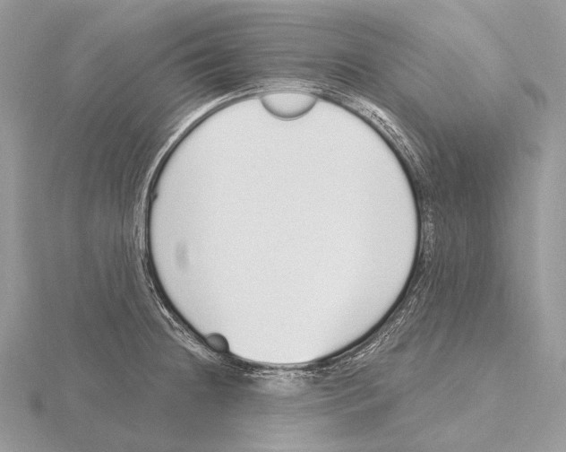 X0000115711236200912101230