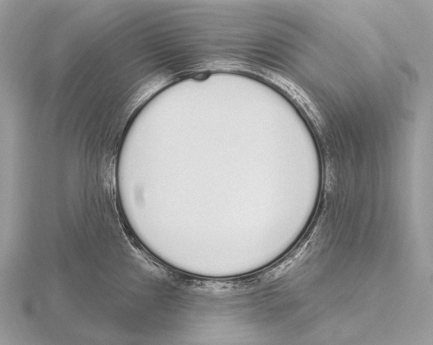 X0000115711241200912101230