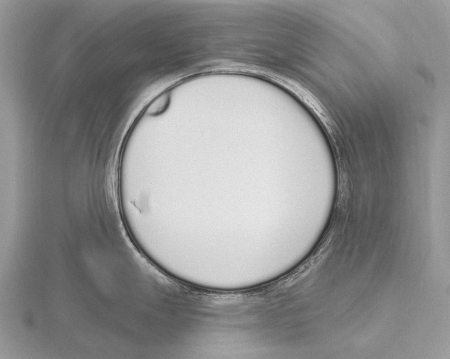 X0000115711247200912101230