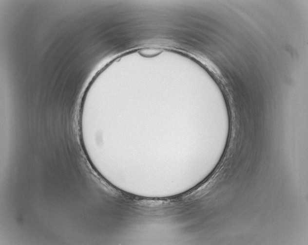 X0000115711248200912101230