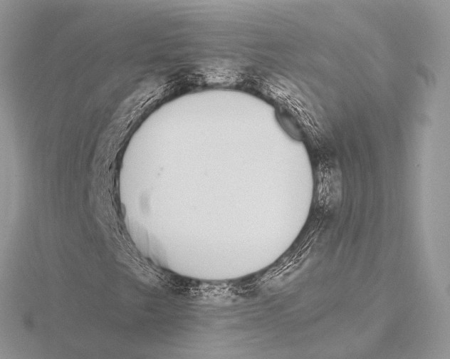 X0000115711249200912101229