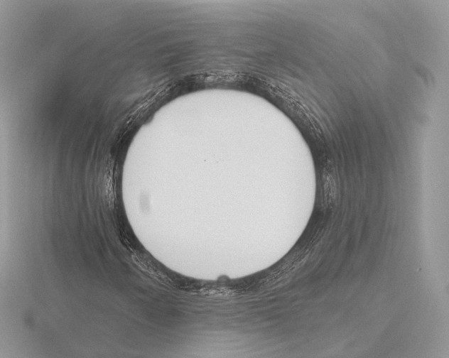 X0000115711250200912101229