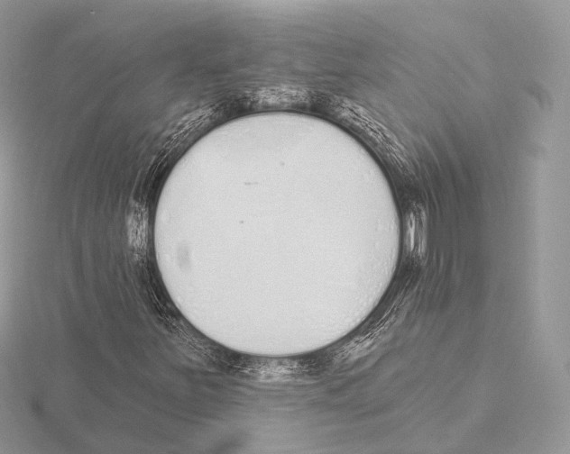 X0000115711251200912101229