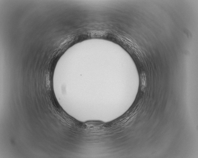 X0000115711252200912101229