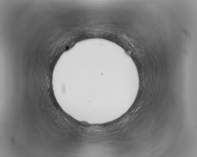 X0000115711253200912101229