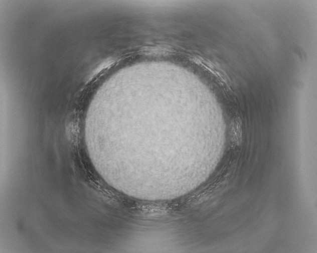 X0000115711254200912101229