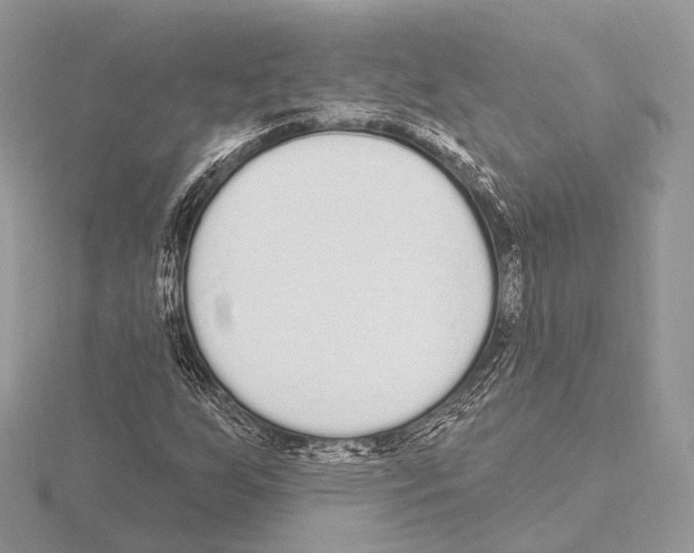 X0000115711255200912101229