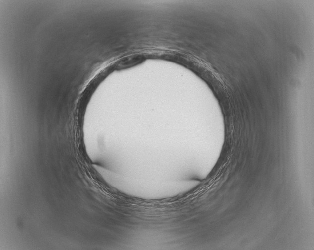 X0000115711256200912101229