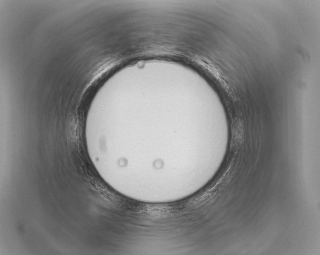 X0000115711258200912101229