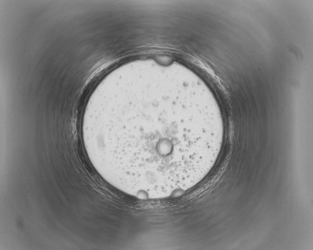 X0000115711259200912101229