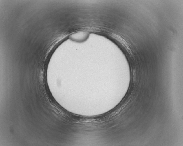 X0000115711260200912101229