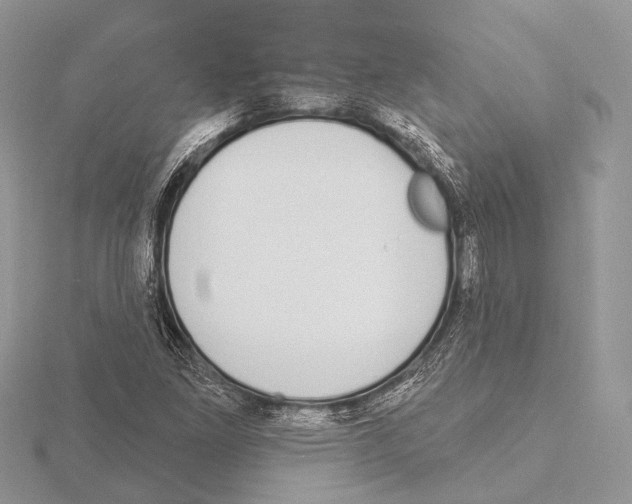 X0000115711261200912101229