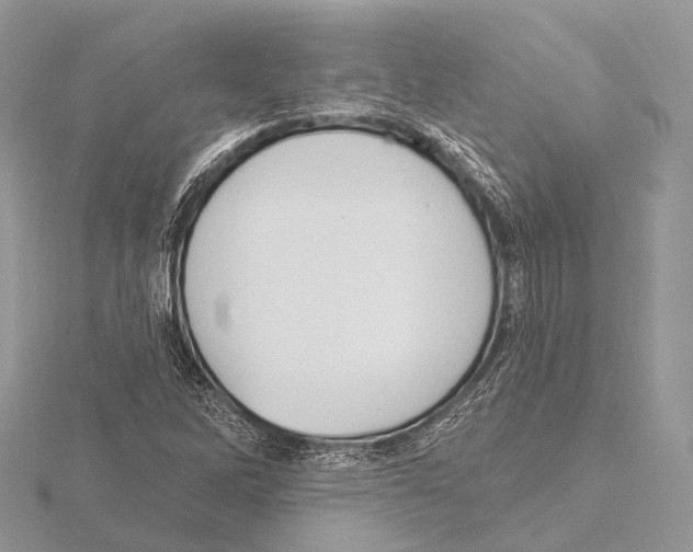 X0000115711262200912101229