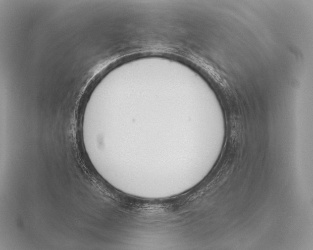 X0000115711264200912101229