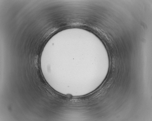 X0000115711265200912101229