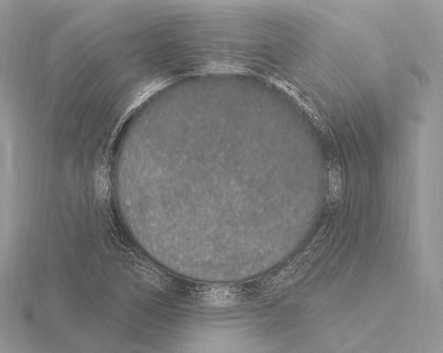 X0000115711266200912101229